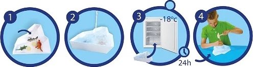 Explorez les icebergs