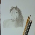 Image client 