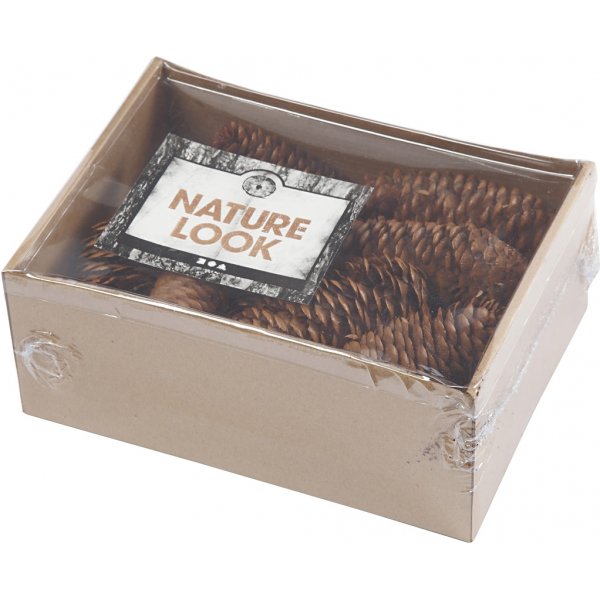 Pommes de pin - 300 g