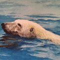Image client Peinture aquarelle Lukas 1862 24Ml - Sienne brûlée (1109)