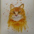 Image client Canson XL Aquarelle 300g - A4