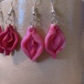 Image client Mod�le Fimo Soft 57g - Framboise