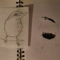Image client Papier calque - A4 - 100 pages