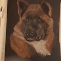 Image client Crayon pastel PITT - 199 Noir