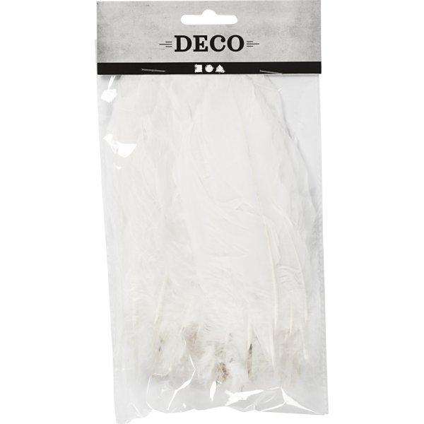 Plumes d'oie - blanches - 70 pcs