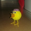 Image client Pieds de poulet 25 paires