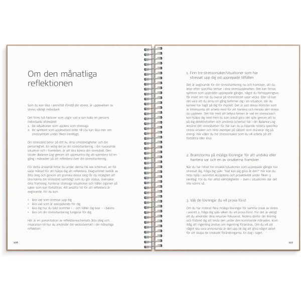 Journal de solde Journal de solde