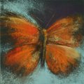 Image client Portrait au pastel tendre - 90 pcs