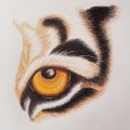 Image client Pinceau de couleur Polychromos - 120 Stylos