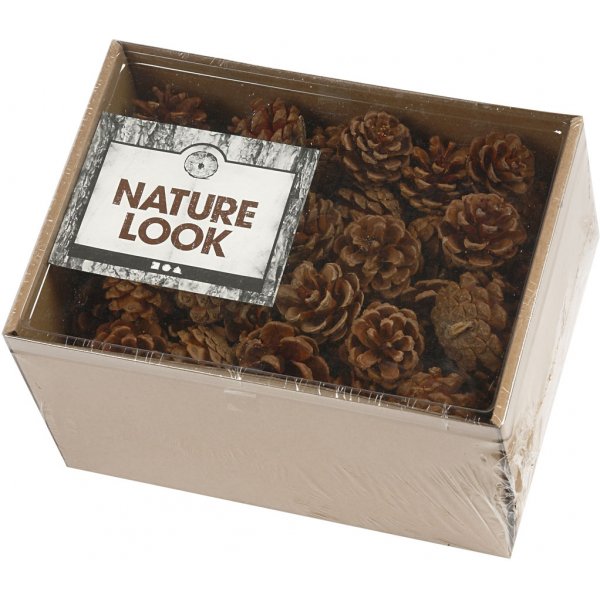 Pommes de pin - 500 g