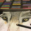 Image client Crayon fusain PITT Base Huile Noir - Extra Dur