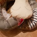 Image client Farce de fibres 1 kg