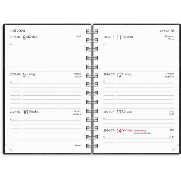 Calendrier 24/25 - Petite Anne d'Etude - Twist noir