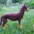 Image client Laine à feutrer - marron foncé 50 g Laine mérinos super fine