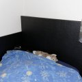 Image client Simili cuir nappa Noir - 140 cm