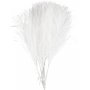 Plumes artificielles - blanches - 10 pcs