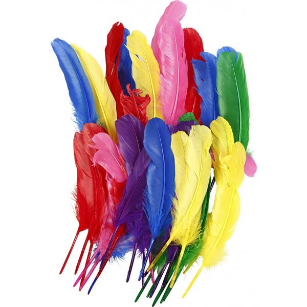 Plumes - couleurs mlanges - 36 pcs
