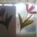 Image client Film autocollant 300 x 200 mm - transparent 2 pcs.