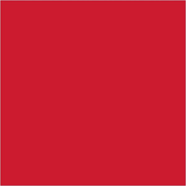 Papier de soie - rouge - 50 x 70 cm - 14 g -25 feuilles