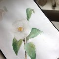 Image client Carnet aquarelle Hahnemühle 200g - A5