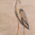 Image client Crayon aquarelle Albrecht D�rer - 102 Cr�me