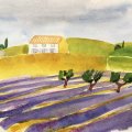 Image client Peinture aquarelle W&N Cotman Demi-tasse - 599 Vert s�ve