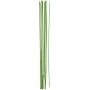 Tiges de fleurs - vertes - Ø2 mm - 20 pcs