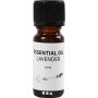 Huile parfume - Lavande - 10 ml