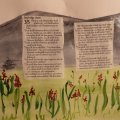 Image client Peinture aquarelle W&N Cotman Demi-tasse - 329 Vert intense