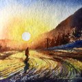 Image client Peinture aquarelle W&N Cotman Tube 8ml - 074 Sienne brûlée