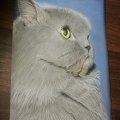 Image client Crayons pastel PITT - 24 Crayons