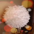Image client Plume décorative 50-100 mm - vanille 10 g ~ paquet de 110