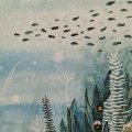 Image client Peinture aquarelle W&N Cotman Tube 8ml - 660 Outremer