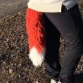 Image client Molly 50g - Rouge brique