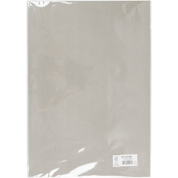 Carton color - gris - A2 - 180 g - 10 feuilles