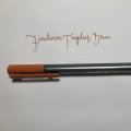Image client Fineliner Triplus 0,3 mm - Marron