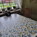 Image client Toile cirée PVC Citron - Jaune