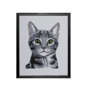 Kit de broderie Toile - Chat Kit de broderie Toile - Chat