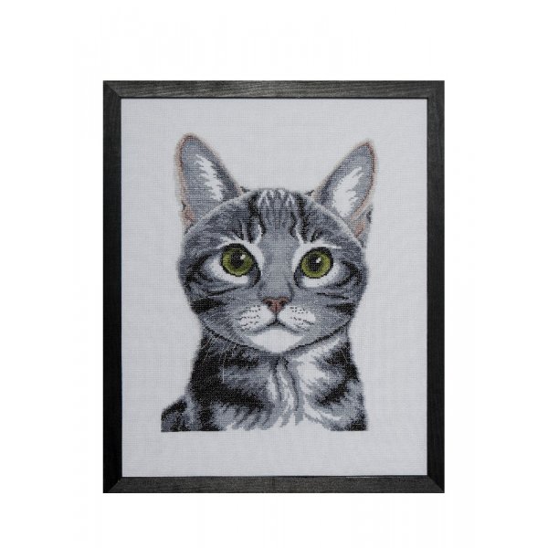 Kit de broderie Toile - Chat