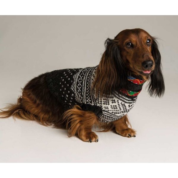 Patron tricot - Costume de chien