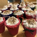 Image client Pots en terre cuite 6 cm - paquet de 10
