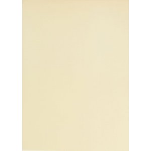 Papier vélin - naturel - A4 - 10 feuilles Papier vélin - naturel - A4 - 10 feuilles
