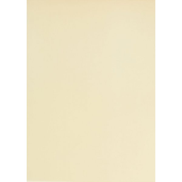 Papier vlin - naturel - A4 - 10 feuilles