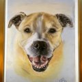 Image client Canson Mi-Teintes Touch Papier Pastel 350 g - A3