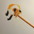 Image client Taille-crayon avec récipient - Double trou