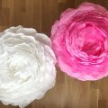 Image client Papier crépon 50 x 250 cm - rose clair