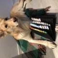 Image client Trousse Sensebag Copic - 72 crayons